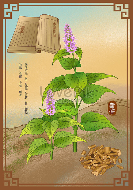 (300hoachuong.jpg)