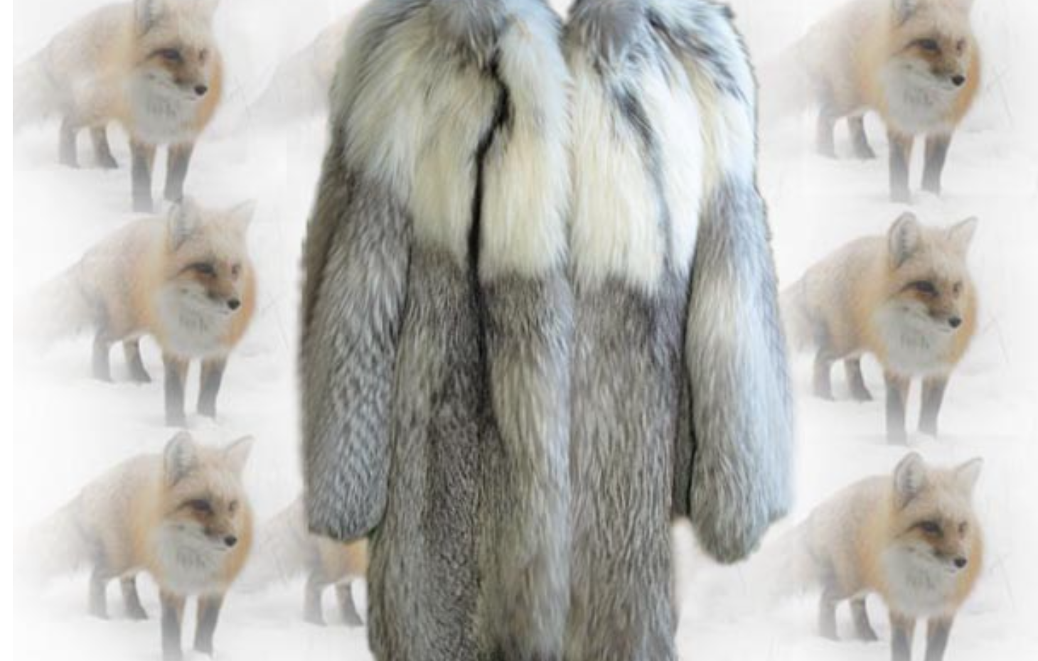 (300hocuu.png)